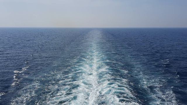 Корма смотреть онлайн