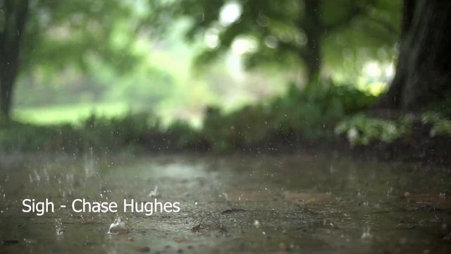 Sigh - Chase Hughes смотреть онлайн