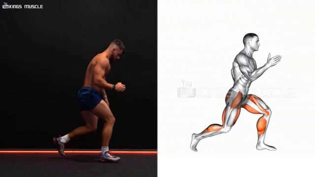 10 Best AT HOME LEG WORKOUTS ( Bodyweight, No Equipment ) смотреть онлайн