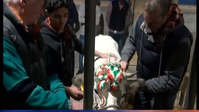 Cascina don Guanella cresce ancora смотреть онлайн