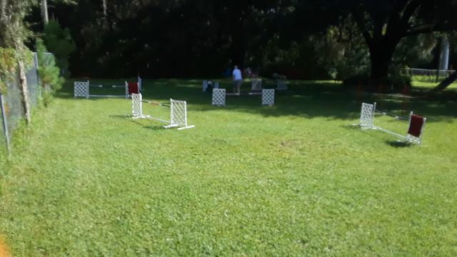 USDAA@Home Masters Snooker M2 Event # 109276 Sybil смотреть онлайн