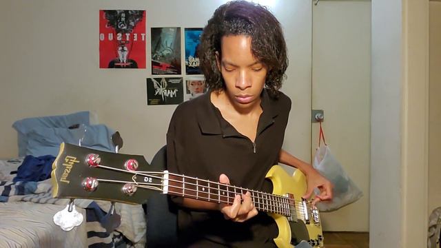 Nick Cave & The Bad Seeds - Well of Misery (BASS COVER) смотреть онлайн