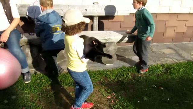 David Tobi & Hanna смотреть онлайн