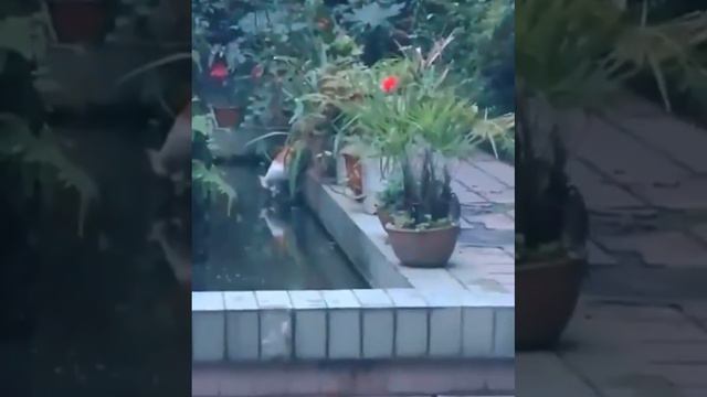 Вот падлюка смотреть онлайн