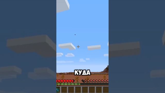 Какашка телепортации в майнкрафт.mp4 смотреть онлайн