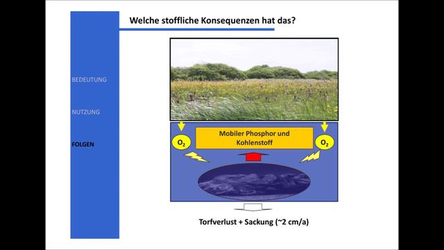 Dr. Dominik Zak: "Ein Moor kann man nicht reparieren, da hilf viel Wasser nur?" смотреть онлайн