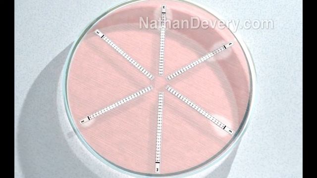 Petri Dish смотреть онлайн