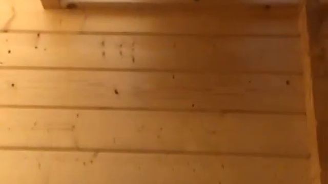 Holzbalkenhaus смотреть онлайн