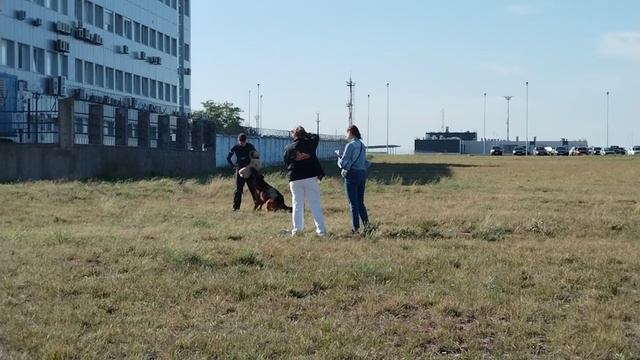 1 Отл. Аутбек РАДЭК ++- №5