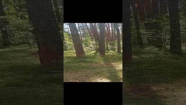 VID_20240624_135749.mp4 смотреть онлайн