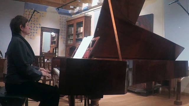 Ludwig & Franz, Streicher 1819, Korčula смотреть онлайн