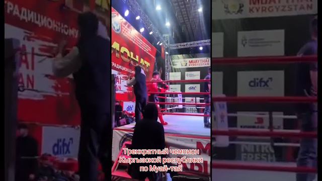 май тай #тайскийбокс #boxing смотреть онлайн