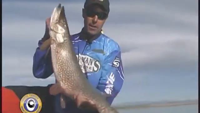 Huge Colorado Pike (pike Fishing Techniques)