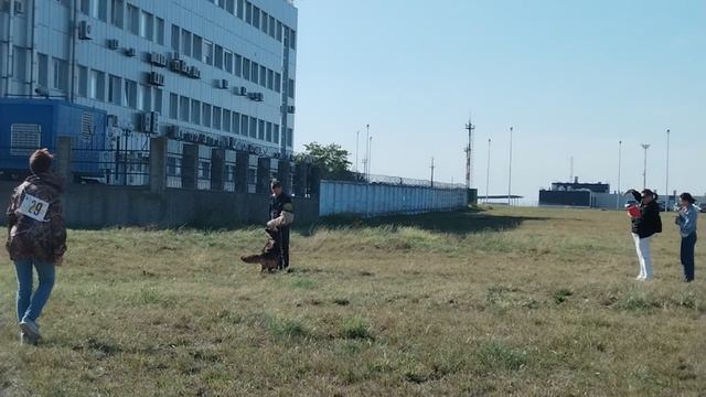 1 Оч/хор ФЕРРАРИ с Самого Черного Моря +0+ №29