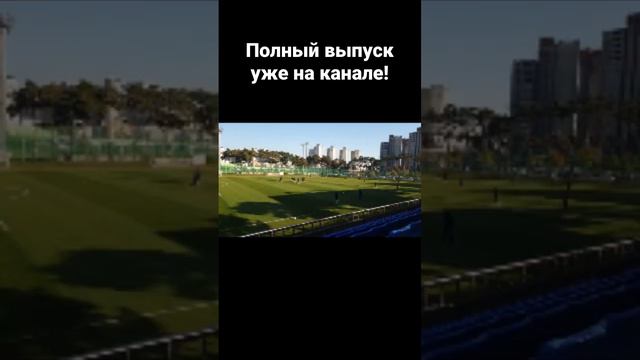 #футбол #спорт #варди #англия #лестер #апл #football #sport #england #epl #leicestercity #vardy смотреть онлайн