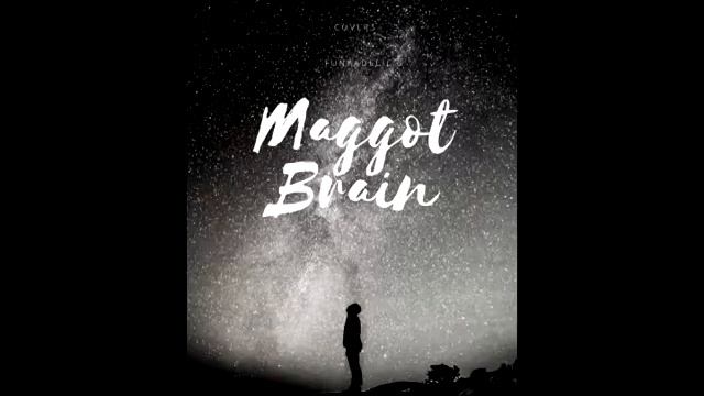 Maggot Brain Tribute to Eddie Hazel FUNADELIC BY Robert Fairweather cover смотреть онлайн