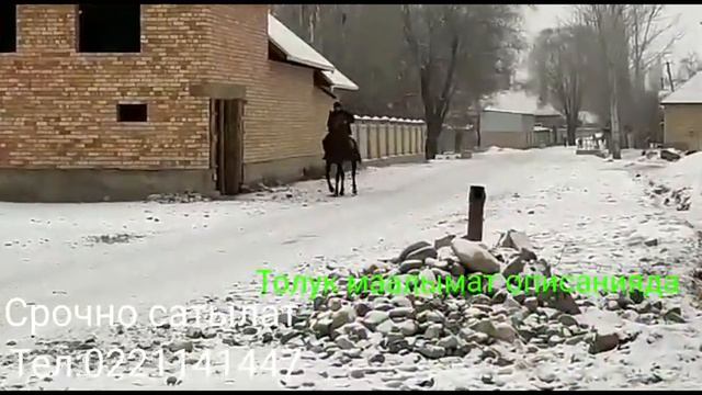 Таң калтырган 😨 ат экен мынаке көрүңүз!! смотреть онлайн