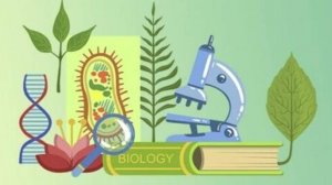 Биология 5 класс. Голосеменные.