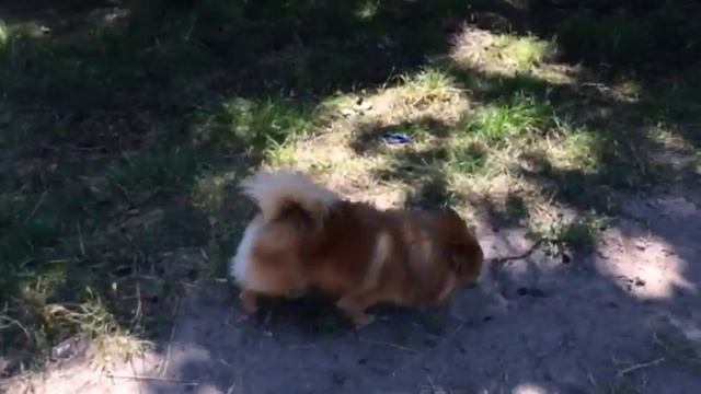 Друзья смотреть онлайн