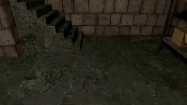 2_5213053423519288218.mp4