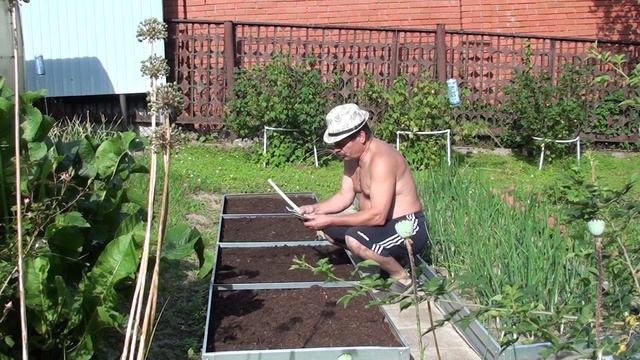 Лето в разгаре// Почистил дорожки на даче// Посадил зелень и цветы смотреть онлайн