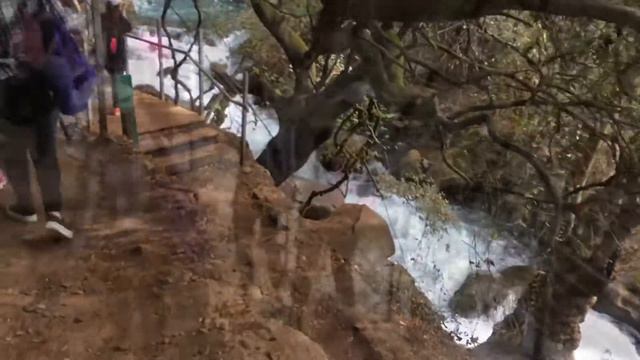 The nature of Israel//ORT NETANYA смотреть онлайн