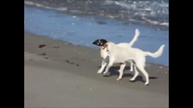 The Airwaves: Saturday Morning (featuring Janne Schaffer) смотреть онлайн