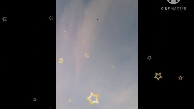 هاشم حسين смотреть онлайн
