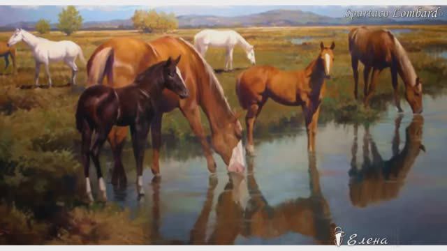 Вольный ветер Spartaco Lombardo * смотреть онлайн