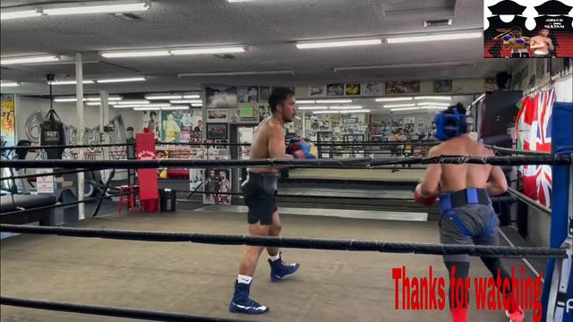 Eumir marcial vs Jonas sultan great sparing WILD CARD GYM смотреть онлайн