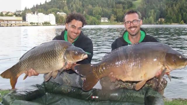 reactor baits presenta sebastiano brunelli stories смотреть онлайн