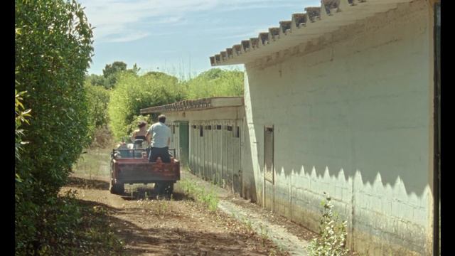 DIÁRIOS DE OTSOGA de Maureen Fazendeiro e Miguel Gomes [ excerto ] смотреть онлайн
