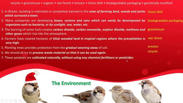 IELTS Vocabulary 8 (Topic: Environment) смотреть онлайн