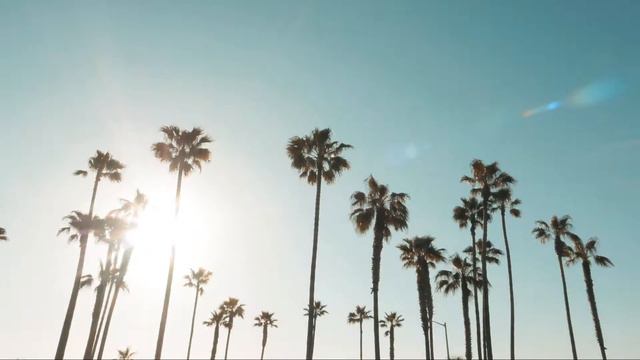 California смотреть онлайн