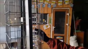 Столб из габиона