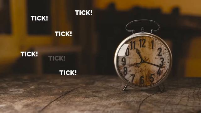 PART II: Marie Kondo, friend or foe? смотреть онлайн