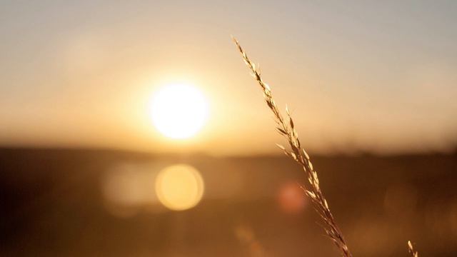 Catholic MORNING PRAYER TODAY 🙏 Sunday March 24, 2024 Prayers смотреть онлайн