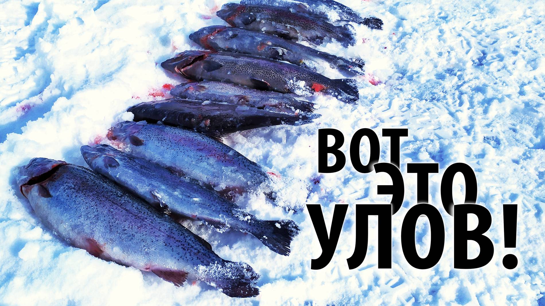 Платная рыбалка на РК "Посейдон" (Степановские пруды). Ловля форели зимой. смотреть онлайн