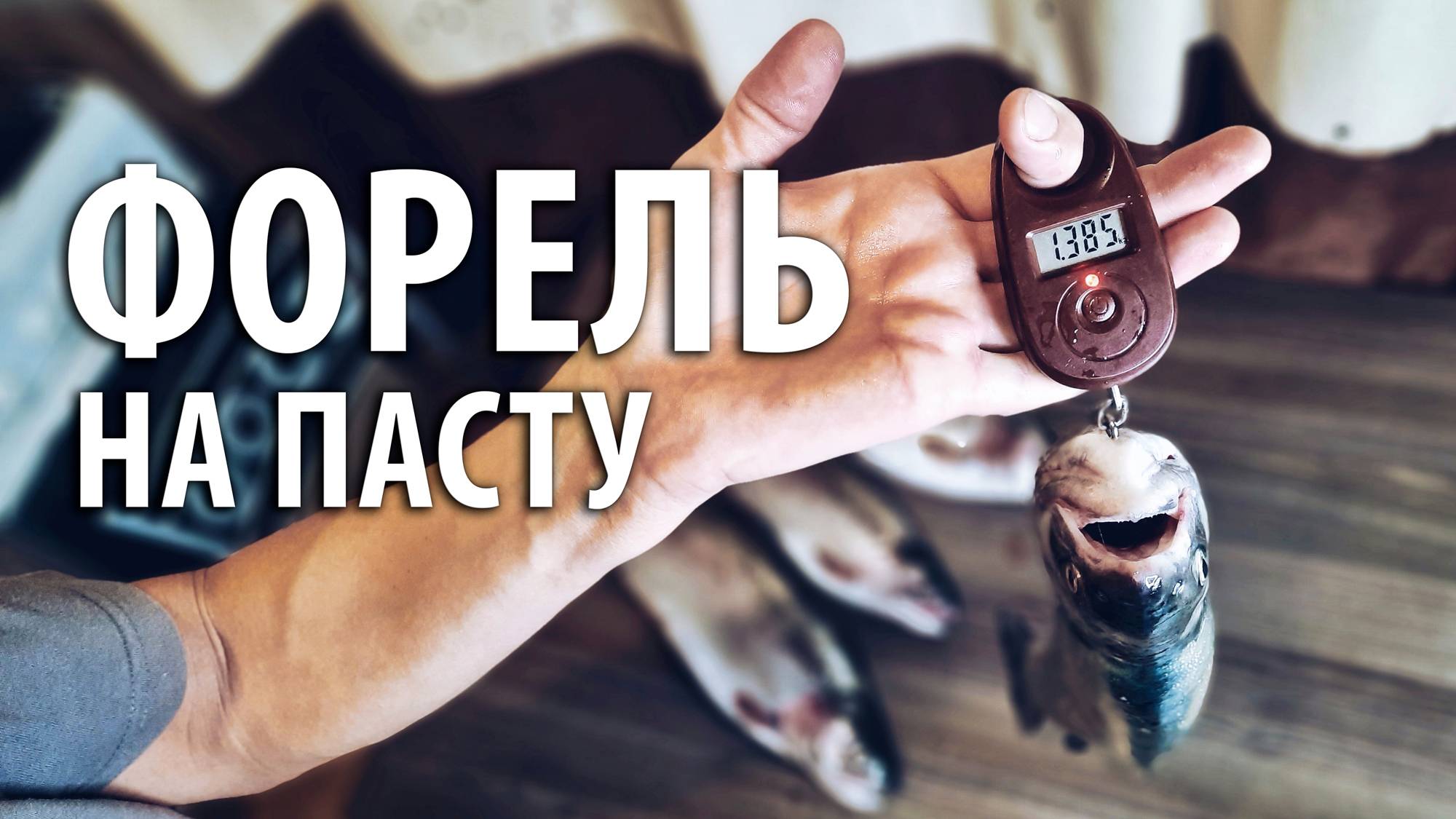 Ловля форели на сырную пасту Berkley. Платная рыбалка на РК "Посейдон" - Степановские пруды. смотреть онлайн