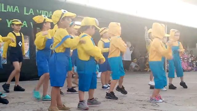 Minions baile escuela 68 2019 смотреть онлайн