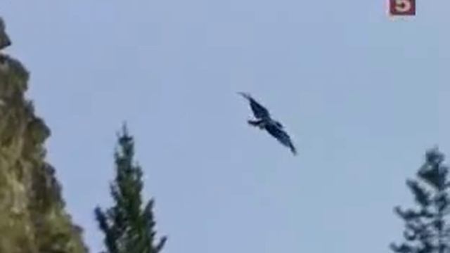 Рокфеллеры богатые люди мира смотреть онлайн