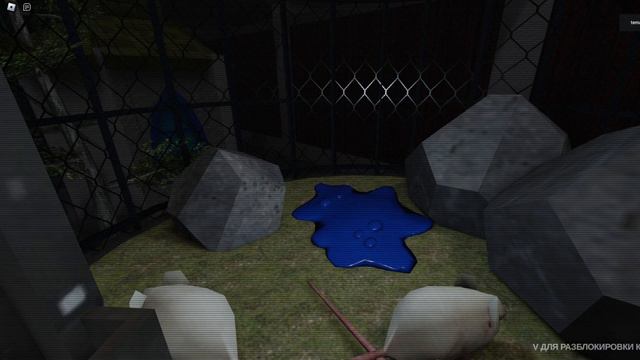 играю в Midnight Zoo Horror