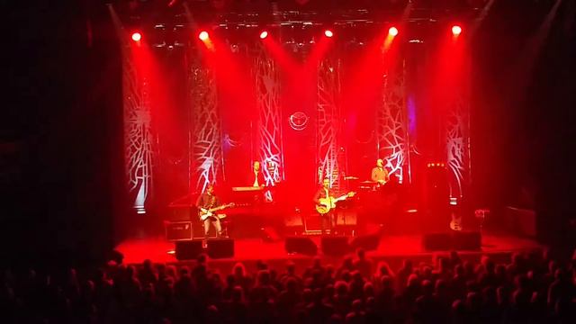 Richard Hawley at The Baths Hall смотреть онлайн