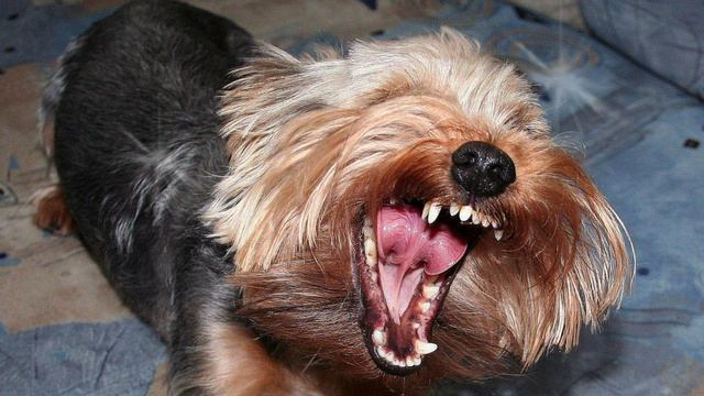 Шалуны смотреть онлайн