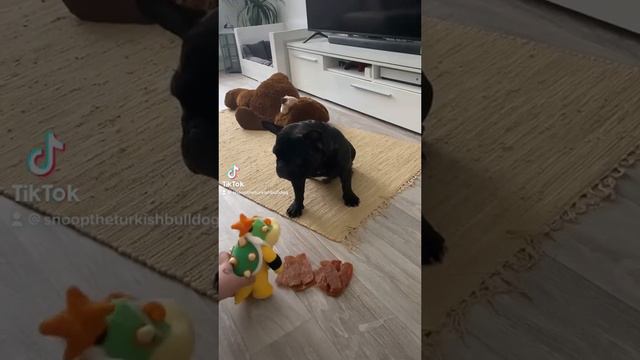 Ладно, я тоже умру за компанию смотреть онлайн