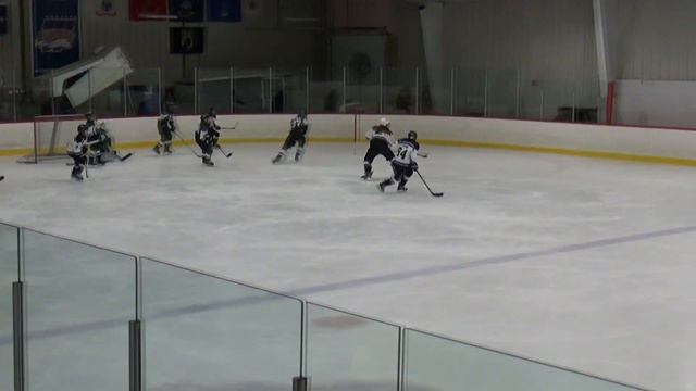 2019-2020 - Quad-City Eagles Hockey - Pee-Wee Kylah F. (High High Hopes) смотреть онлайн