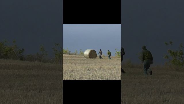 Как мы клад ищем. смотреть онлайн