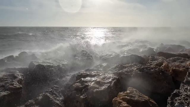 Vlog 47 - Albaricoques - Almerimar - Nerja смотреть онлайн