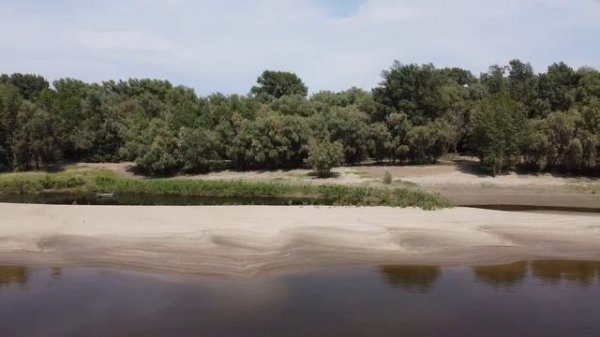 База Лес и Рыба Рыба .