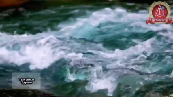 Турсунзаде. Каратог 2020